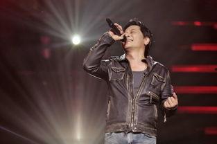 歌手王杰最新爆料视频,最新爆料视频背后的故事与感悟  第3张